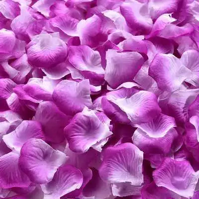 1000/3000pcs Sale Rose Flower Petal Wedding Silk White Petals Wedding Party Decor Red Rose Petal Artificial Flowers Supplies 50%