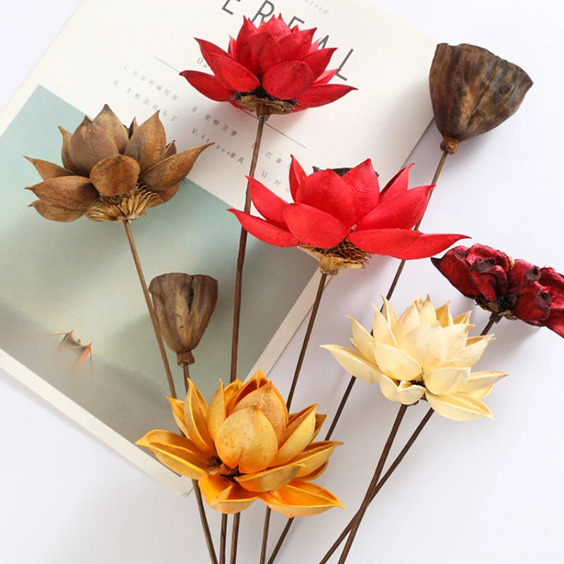 Natural Plants Lotus Dried Flowers Decoration Floral Arrangement for Wedding Party Decoration Scrapbooking DIY Artificial Flower