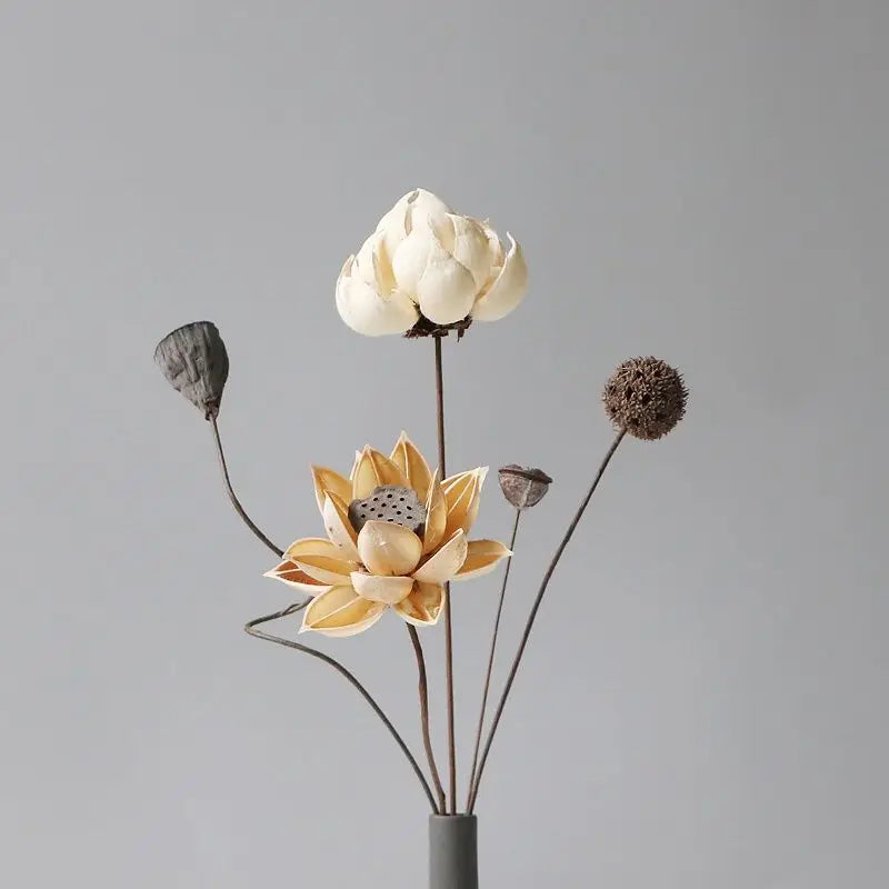 Natural Plants Lotus Dried Flowers Decoration Floral Arrangement for Wedding Party Decoration Scrapbooking DIY Artificial Flower