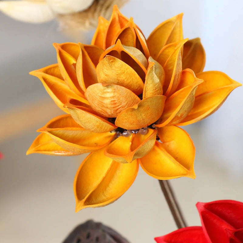 Natural Plants Lotus Dried Flowers Decoration Floral Arrangement for Wedding Party Decoration Scrapbooking DIY Artificial Flower